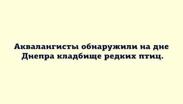 8caf47f3f90433e188fec7417a0731b7.jpg